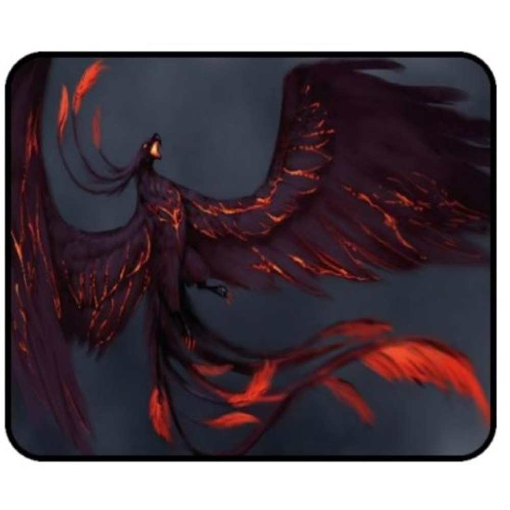 Concord Mp-301-302-303-304-305-306 Mouse Pad