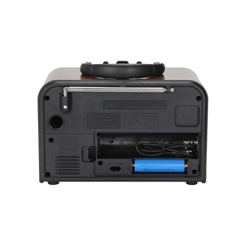 Tastech Carbon NS-6678 Bloutood Radyo