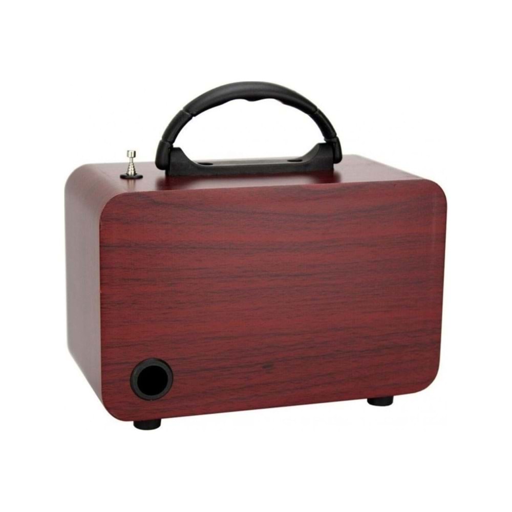 Tastech Carbon NS-8069 Bloutood Radyo