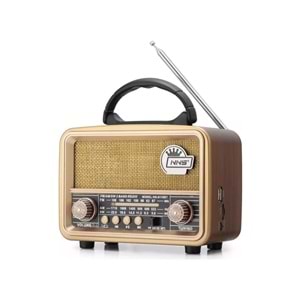 Tastech Carbon NS-8110 Bloutood Radyo