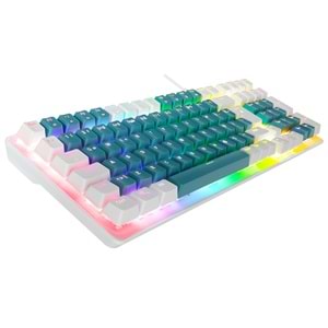 Acer eMachines EAK100 Yeşil/Beyaz USB RGB Backlight RED SWITCH Mekanik Q 100 Tuşlu Compact Gaming Klavye