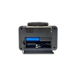 Tastech Carbon NS-8898 Bloutood Radyo