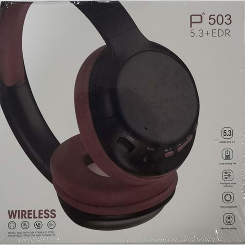 Tastech Carbon P503 Wireless Bluetooth Kulaklık