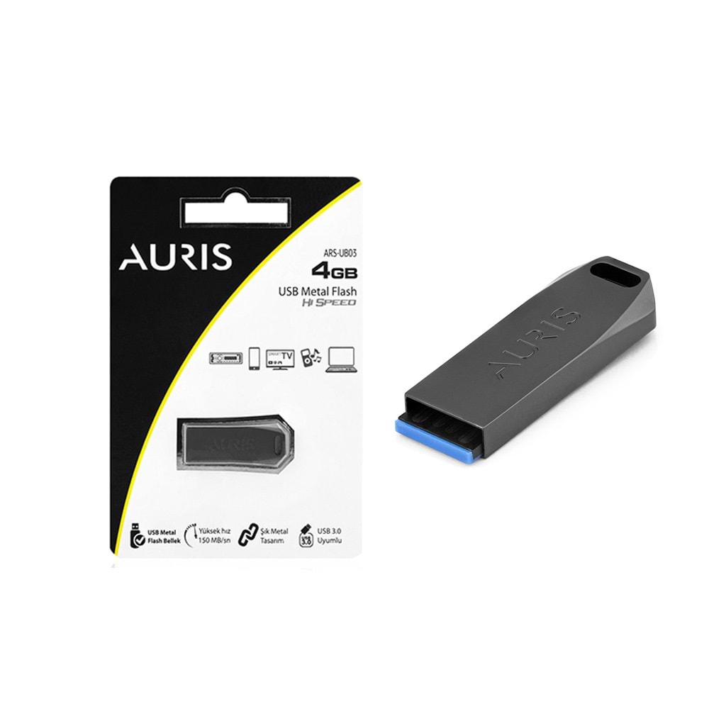 Aurıs 4 Gb Metal 3.0 Flash Bellek