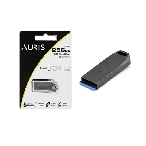 Aurıs 256 Gb Metal 3.0 Flash Bellek