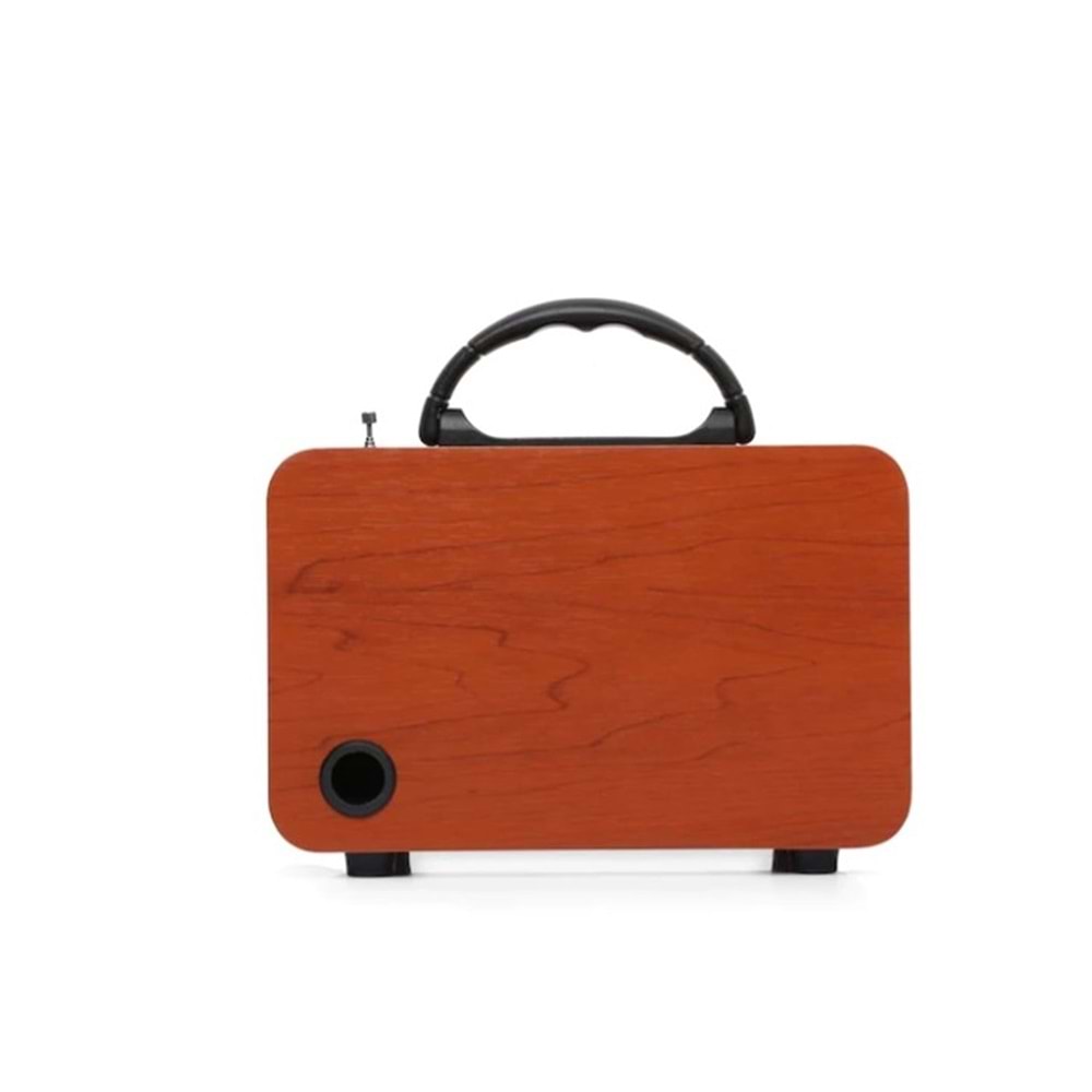 Tastech Carbon NS-8070 Bloutood Radyo