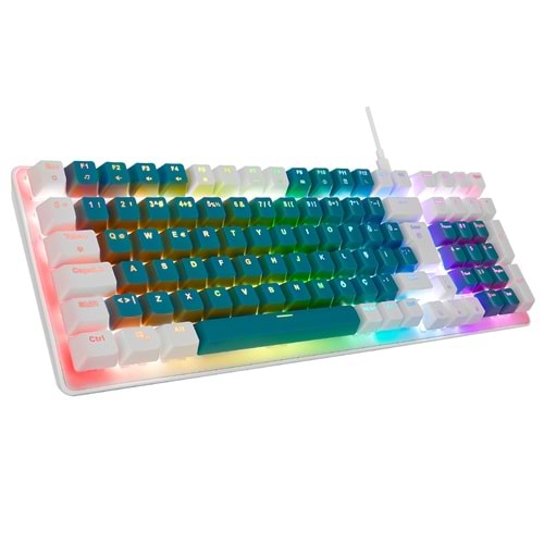 Acer eMachines EAK100 Yeşil/Beyaz USB RGB Backlight RED SWITCH Mekanik Q 100 Tuşlu Compact Gaming Klavye