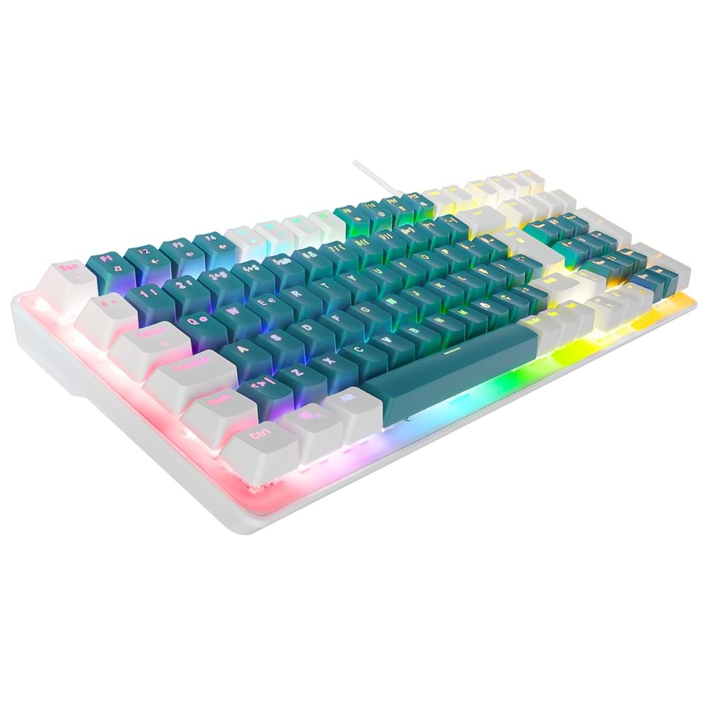 Acer eMachines EAK100 Yeşil/Beyaz USB RGB Backlight RED SWITCH Mekanik Q 100 Tuşlu Compact Gaming Klavye