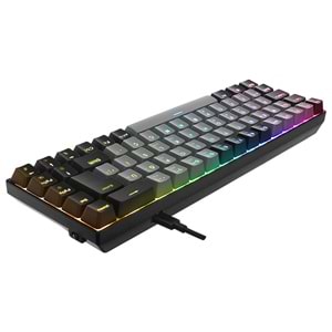 Acer eMachines EAK68 Gri/Siyah USB RGB Backlight RED SWITCH Mekanik Q 68 Tuşlu Mini Gaming Oyuncu Klavyesi