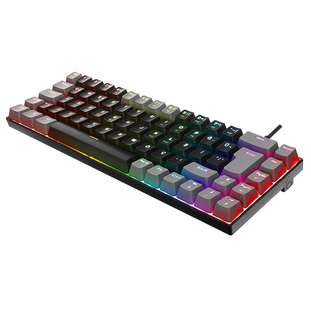 Acer eMachines EAK68 Siyah/Gri USB RGB Backlight RED SWITCH Mekanik Q 68 Tuşlu Mini Gaming Oyuncu Klavyesi
