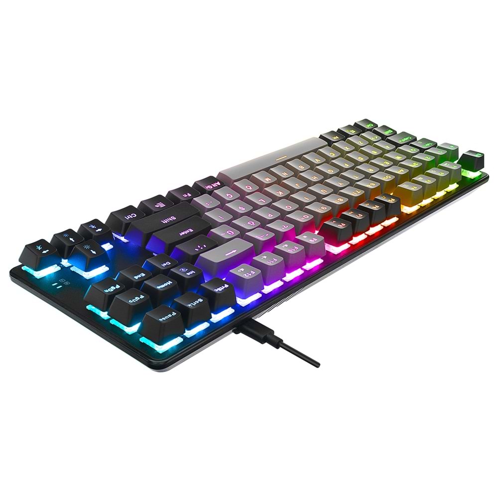 Acer eMachines EAK87 Gri/Siyah USB RGB Backlight RED SWITCH Mekanik Q 87 Tuşlu TKL Gaming Klavye