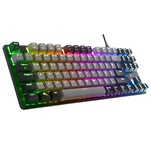 Acer eMachines EAK87 Siyah/Gri USB RGB Backlight RED SWITCH Mekanik Q 87 Tuşlu TKL Gaming Klavye