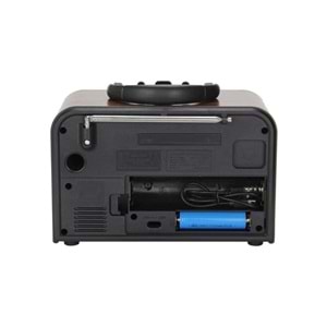 Tastech Carbon NS-6678 Bloutood Radyo