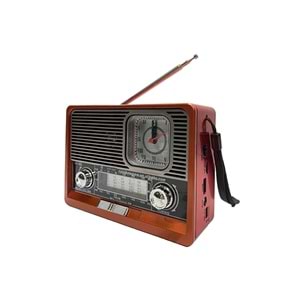 Tastech Carbon KFT-1647 Bloutood Radyo