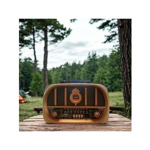 Tastech Carbon NS-6687 Bloutood Radyo