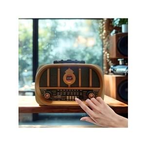 Tastech Carbon NS-6687 Bloutood Radyo